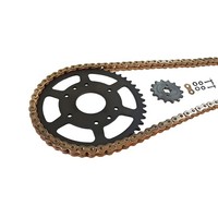 Kettensatz Ek-Chain 520 MVXZ-2 FüR Kawasaki KLE500 Bis Modelljahr -1995 Farbe