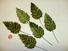 Vintage Variegated Velvet Green and Brown Fern Leaves - 1/2 dozen