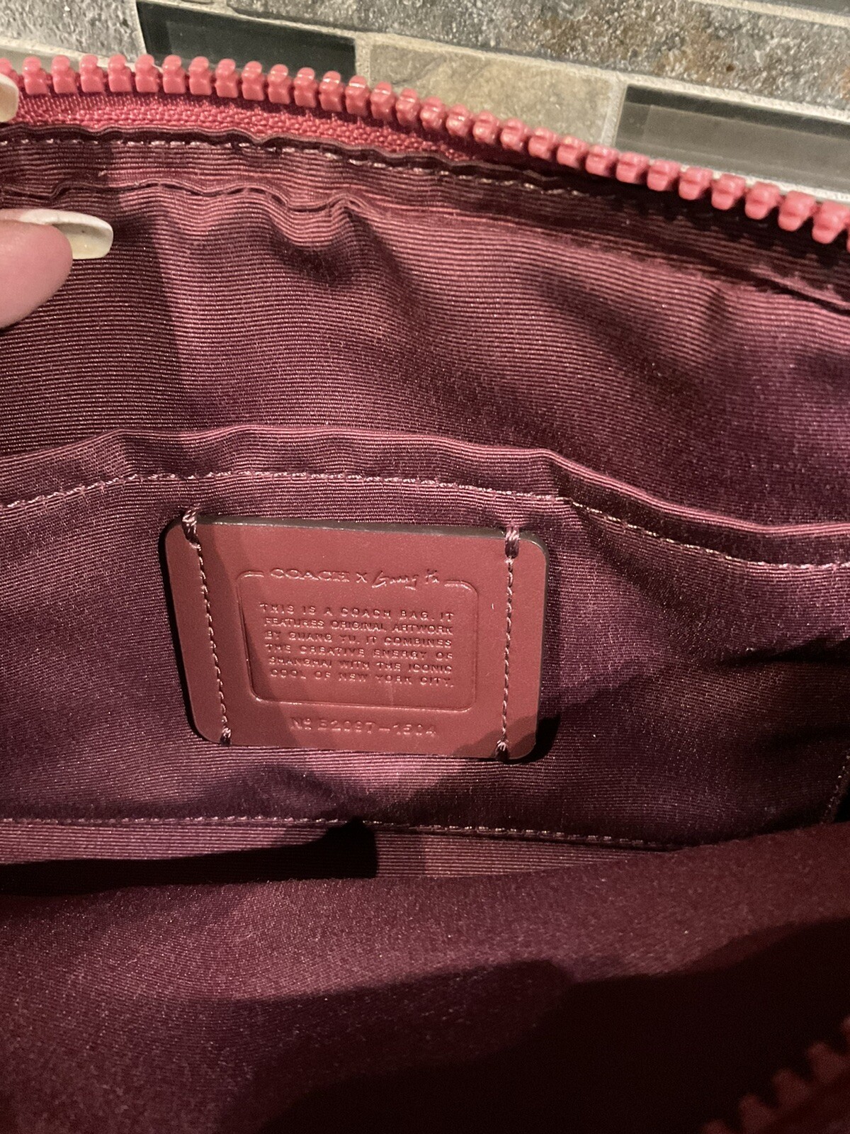 Coach Vale Jes Crossbody Signature Rexy by guang yu L… Gem