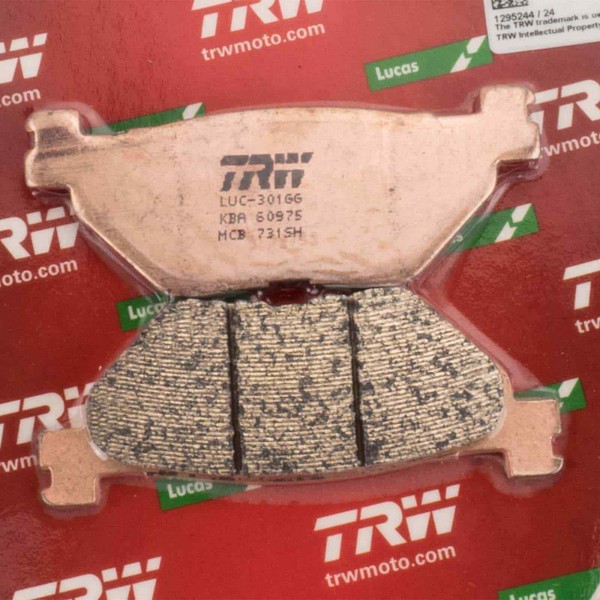 BremsbeläGe Hinten Yamaha XT1200 ZE Super Tenere DP04 2014--image