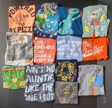 Boys Short Sleeve Graphic T-Shirt Lot of 13 Size 4-5 