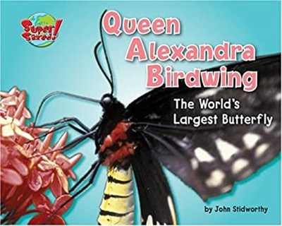 Queen Alexandra's Birdwing : The World's Largest Butterfly John S