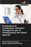 Salem Mohamed Salem (U. A.) | Produzione Di Aerobatteri Cellulitici...