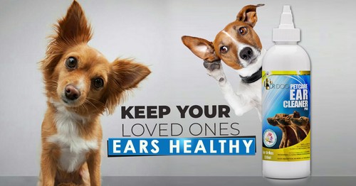 *VET STRENGTH* Dog Ear Cleaner Drops STOP Shaking Ears Itching Mites Odour Wax - Picture 9 of 12