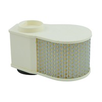 Miw Luftfilter Miw Y4243 Frischluftfilter FüR Yamaha Xvz