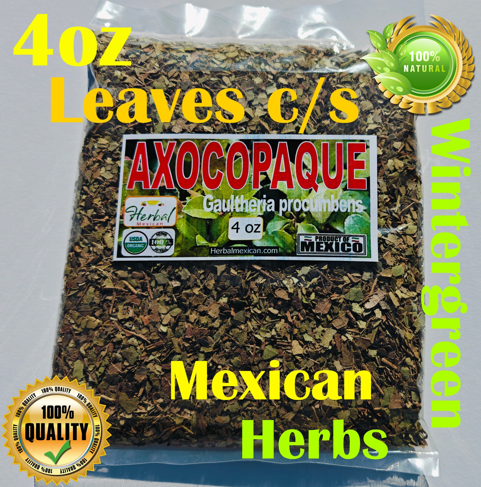 Axocopaque hierba/te,Wintergreen herbs,Gaultheria procumbens
