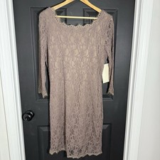 NWT Boston Proper Dress Lace Bodycon Sheath Tea Rose Elegant Sz 16