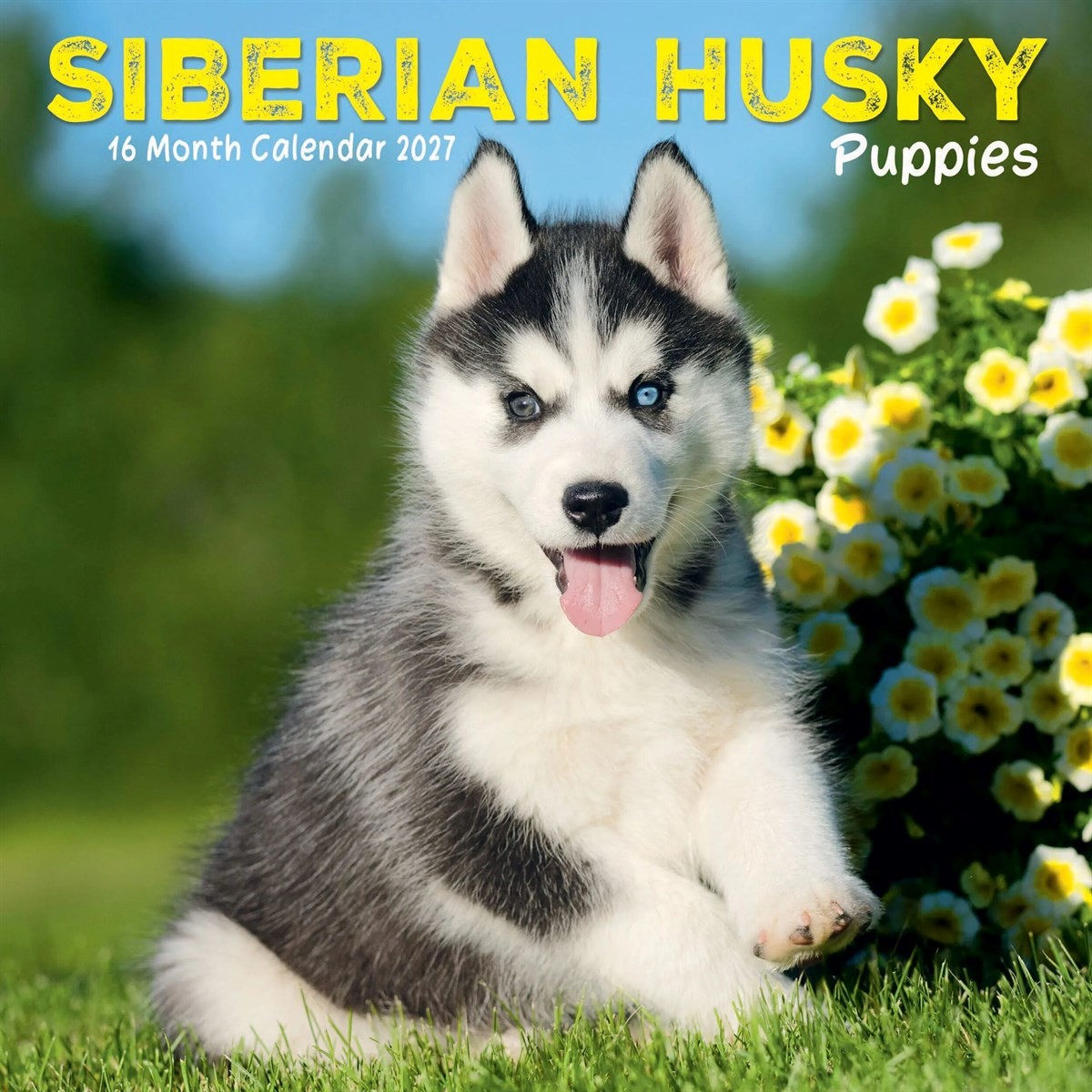 Siberian Husky Puppies Mini Calendar 2027, Wall Calendars, Month To View, Gift