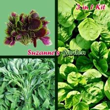 Red round /Green round /Pointed Leaf Amaranth Bundle Pack | 3000+ 红苋，绿苋，台湾油青苋菜组合