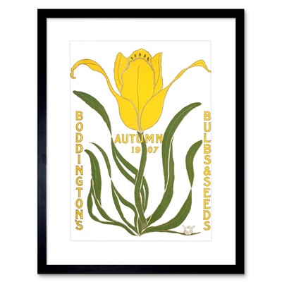 Boddingtons Blumenzwiebeln Samen Herbst 1907 Gerahmter Kunstdruck 30x40 cm