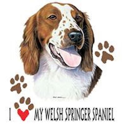 Springer Spaniel Size Chart