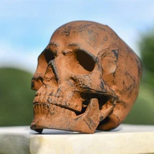 Dark Rustic Skull Statue Ornament Cast Aluminium Corrosion Resistant