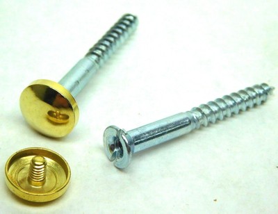 10 Pack 8 X 40mm 1 5 8 Tapped Wood Screws W Brass Decorative