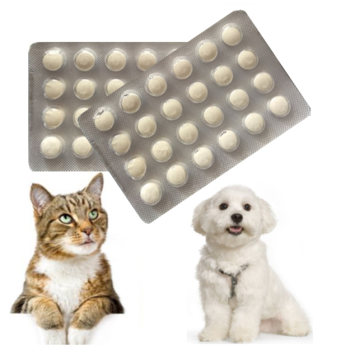 dog worming tablets online