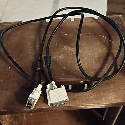 DVI-I Dual Link Male to Male Cable w/ Ferrite Core Black/White 1:1 6FT