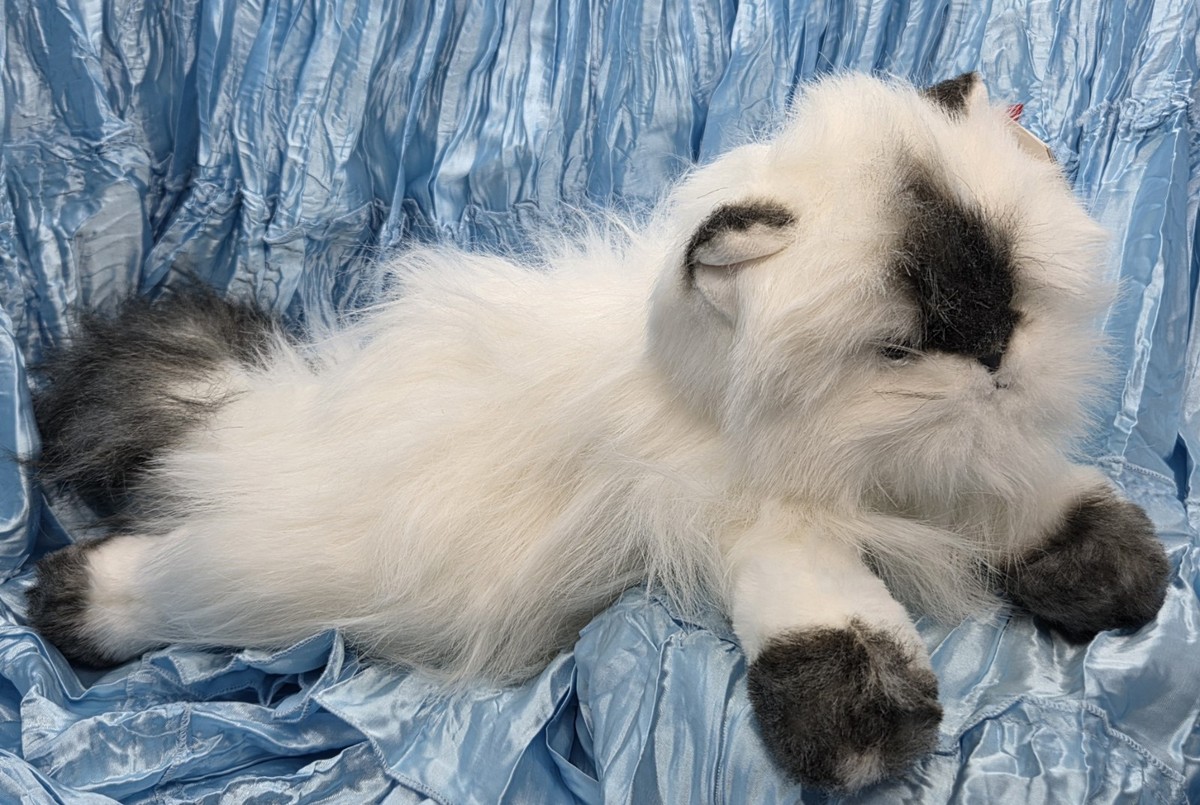 Ty Beanie Baby Classic Angel Himalayan Cat 2006 20th Anniversary
