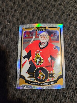 hockey goalie cards lot #3   ***you pick***