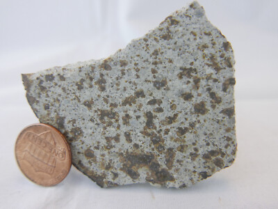 Cerro Mesa meteorite slice - Argentinian Fall 2006 - Rare