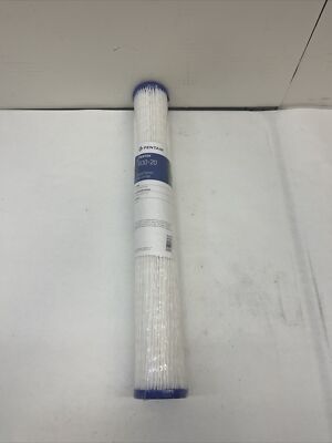 Pentek R30-20 30 Micron Whole House 20 Inch Pleated Sediment Water Filter