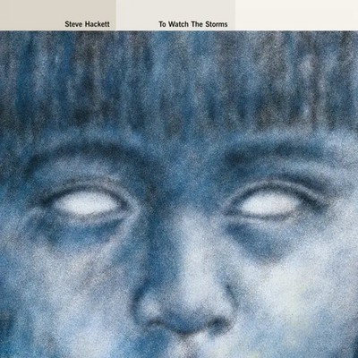 To Watch The Storms (180g) | Steve Hackett | Vinyl / Schallplatte | 2023