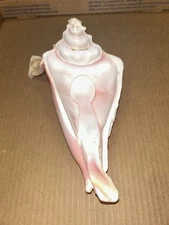 Vintage Conch Shell Spoon Rest Dish Natural Seashell Bowl Beach Decor Nautical