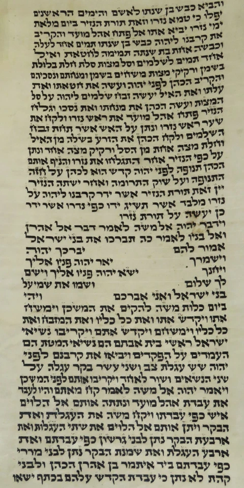 TORAH SCROLL BIBLE MANUSCRIPT VELLUM FRAGMENT/LEAF 80-100 YRS OLD ISRAEL הכהנים - Image 3 of 4