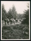 Bild 11 von 16