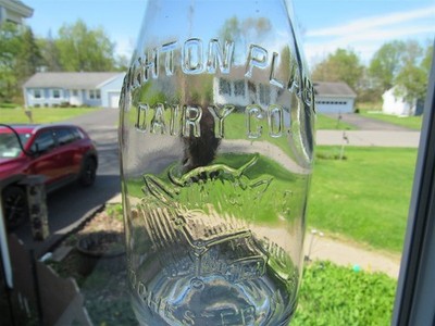 TREQ Milk Bottle Brighton Place Dairy Co Rochester NY MONROE CO Cow Head Var#2