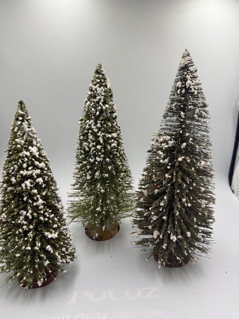 Picture 1