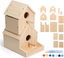 Bird House 2-Story, Wooden Birdhouse Kids Woodworking Kit with Brushes and Paint