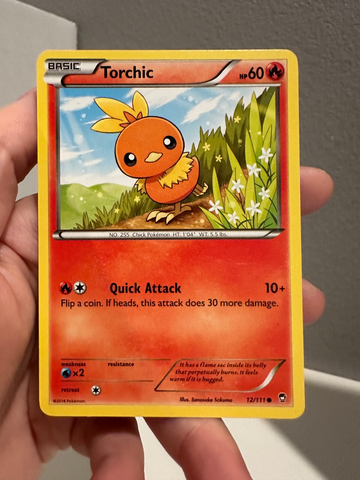 Torchic Furious Fists 12/111 Pokemon TCG Regular Common NM 1218#168