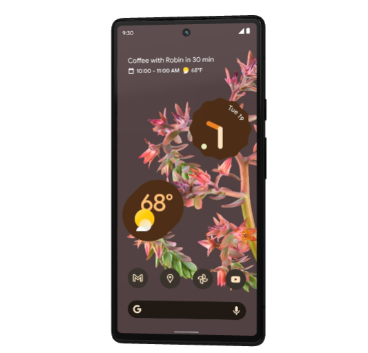 Google Pixel 6 - 256 GB - Stormy Black (Unlocked) for sale Google Pixel 6 - 256 GB - Stormy Black (Unlocked) for sale