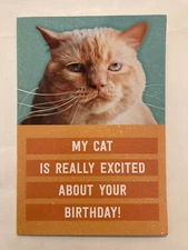My Cat Is Really Excited About Your Birthday Funny 5”x7” Hallmark Greeting Card