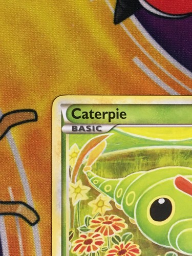 D873 POKEMON TCG BLANCO Y NEGRO ORUGA 57 METAPOD 46 LP-MP 2011 - Imagen 4 de 22