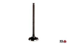 VALVOLA DI SCARICO ACCIAIO BETA RR 450 2005-2009 PROX PX28.6520.1