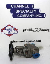 1/2" 800 Class Stainless Steel Threaded Gate Valve