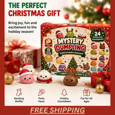 Christmas Dumpling Squishy Advent Calendar 24 Days Countdown Mystery Surprise