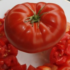 Big Beef Tomato: 20 Seeds
