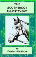 Robbie Robinson | The Southbrook Inheritance | Buch | Englisch (2017) | Gebunden