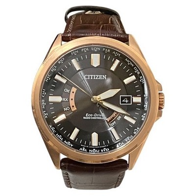 Citizen Eco-Drive Radio-Controlled Solar Watch, Free Shipping [Used]