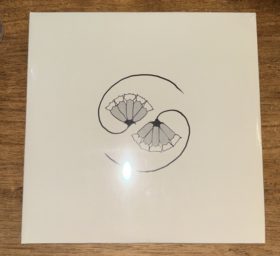 Godspeed You! Black Emperor G_d'S Pee at State'S End!  Vinyl
