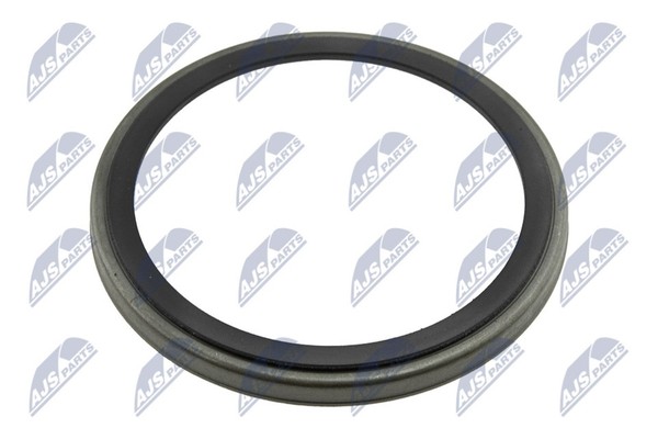 ABS Sensorring NTY NZA-RE-004 Stahl FüR Renault Laguna 2 BG0 KG0 ScÉNic JM0 4-image