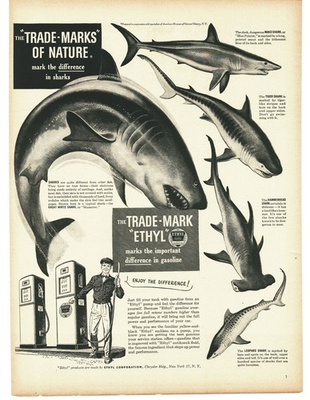 #ad #ad 1950 Ethyl Gasoline Vintage Print Ad Great White Shark Hammerhead Gas Pump $13.99