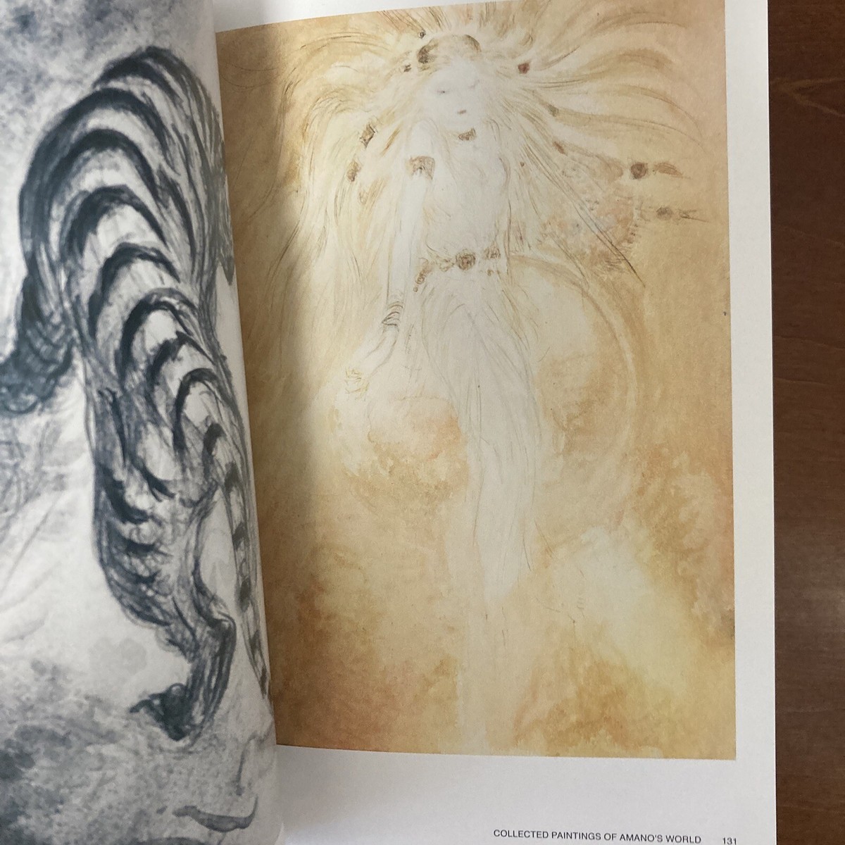 天野喜孝 COLLECTED PAINTINGS AMANO'S WORLD Yoshitaka Amano COLLECTED PAINTINGS OF AMANO'S WORLD Art Book