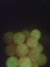 Troutbeads Glowbeadz, 6 mm Sunburst Glow, 1 Pack