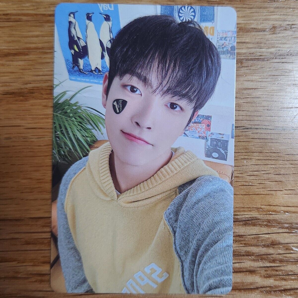 Hong Joong Official Photocard 2025 Ateez Season's Greeting Hong Joong Official Photocard 2025 Ateez Season's Greeting