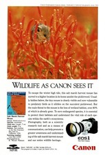 1993 CANON EOS1 35mm camera Salt Marsh Harvest Mouse Vintage Print Ad