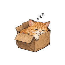 Cute Orange Cat In Box Sleeping Zzz  Decal Funny Cute Waterproof Kitty Funny