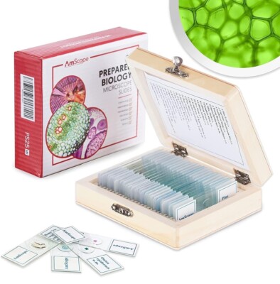 AmScope 25 Glass Prepared Microscope Slides with Wooden Box