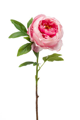 künstliche Pfingstrose Peony mit 1 Blüte pink H. 63cm Emerald Kunstblumen